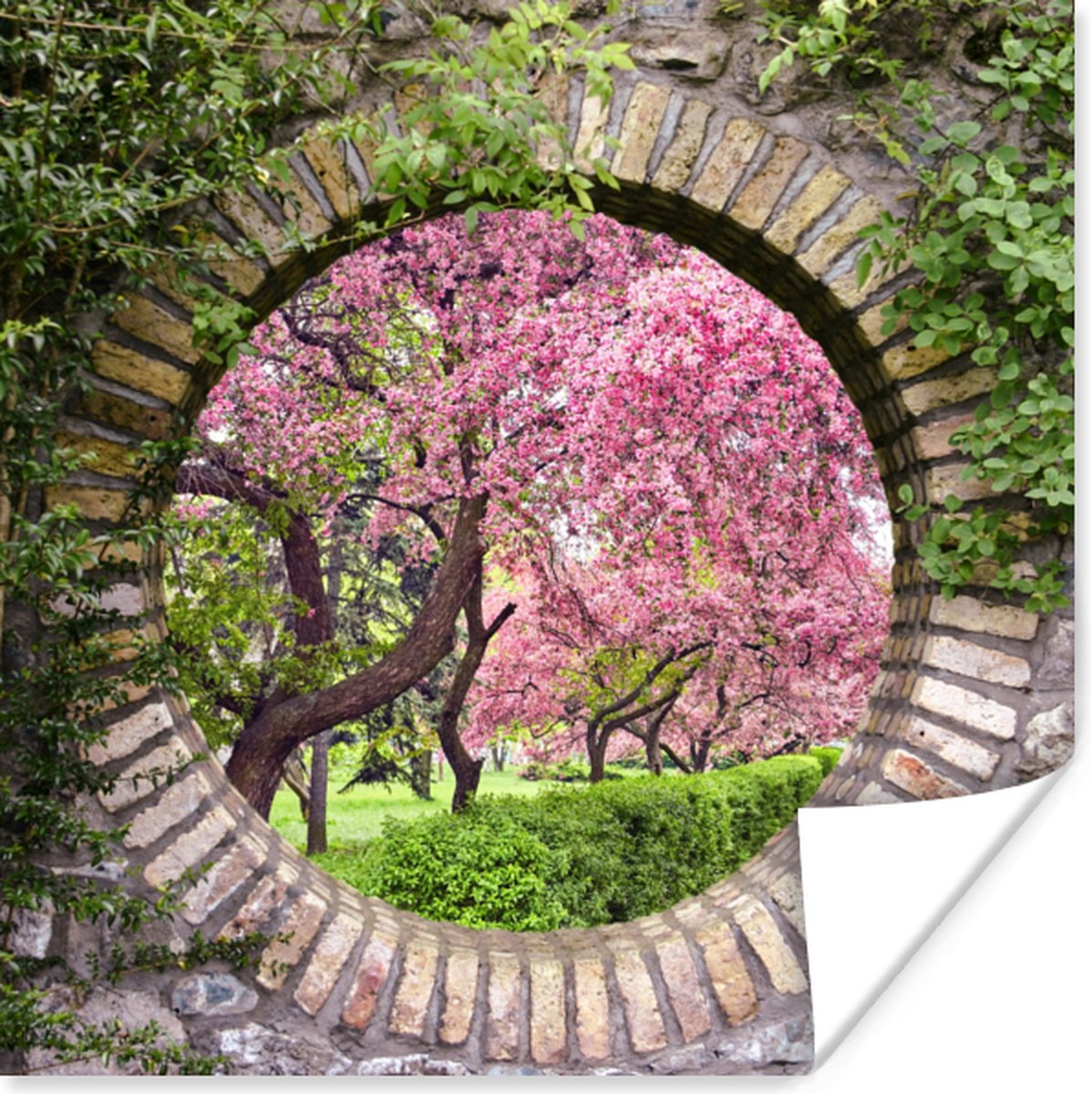 Poster Doorkijk - Sakura - Bloesem - Japans - 75x75 cm