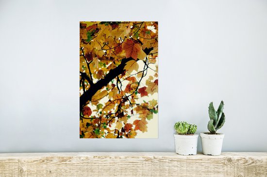 Affiche Arbres - Feuilles d'automne - Nature - 20x30 cm