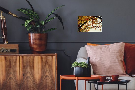 Affiche Arbres - Feuilles d'automne - Nature - 30x20 cm