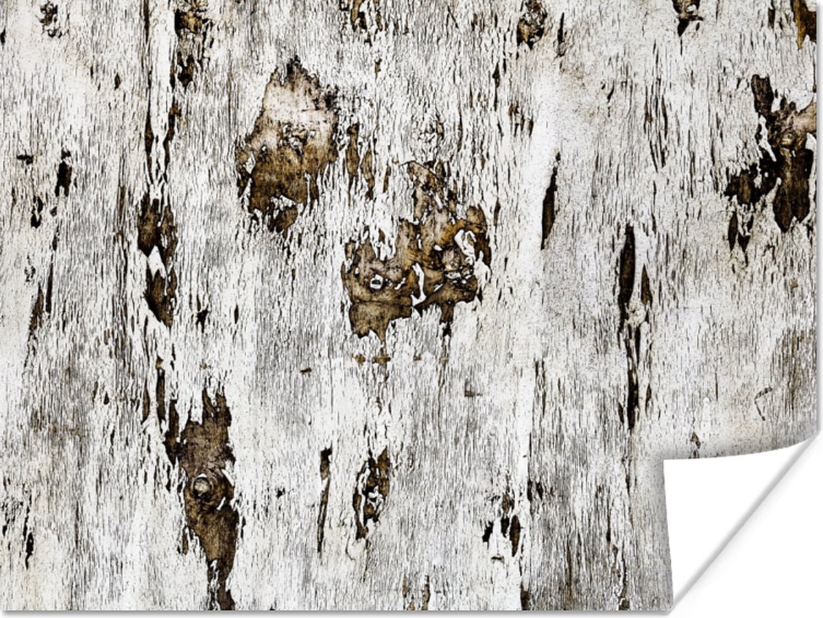 Poster Berk - Wit - Hout - 40x30 cm