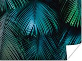 Poster Palmblad - Tropisch - Natuur - Jungle - 120x90 cm