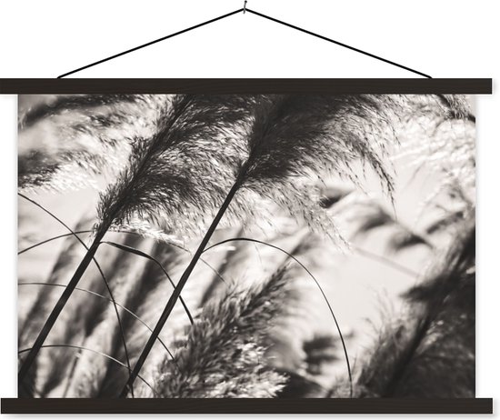 Porte-affiche avec affiche - Affiche scolaire - Herbe de la pampa - Zwart - Wit - Plante - 60x40 cm - Lattes noires