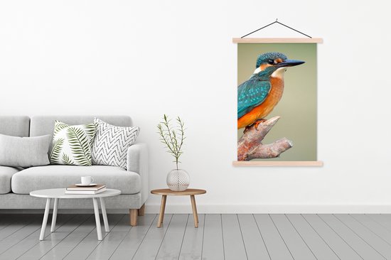 Porte-affiche avec affiche - Affiche scolaire - Vogel - Martin-pêcheur - Branche - 120x180 cm - Lattes vierges