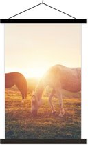 Porte-affiche avec affiche - Affiche scolaire - Paarden - Soleil - Animaux - 40x60 cm - Lattes noires