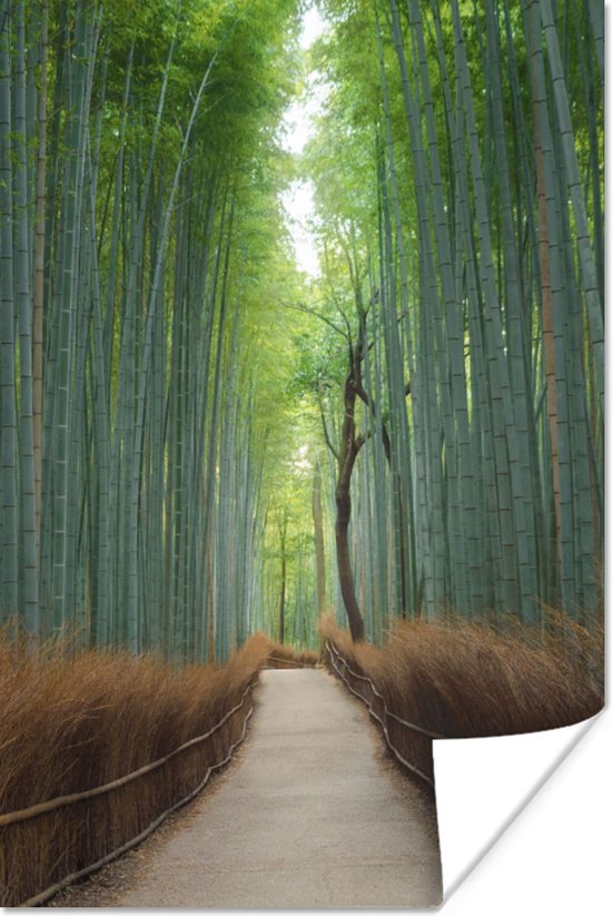 Poster Bamboe - Pad - Bos - 20x30 cm