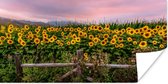 Poster Tournesol - Fleurs - Plantes - 40x20 cm