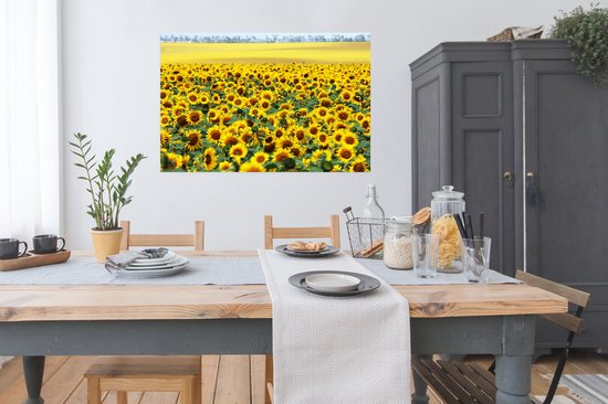 Poster Tournesol - Fleurs - Nature - 120x90 cm