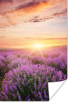 Poster Lavendel - Zon - Bloemen - 60x90 cm
