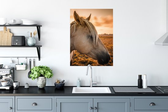 Affiche Cheval - Animaux - Portrait - 60x80 cm