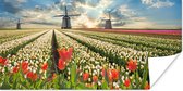 Poster Windmolen - Tulpen - Lucht - Natuur - 160x80 cm