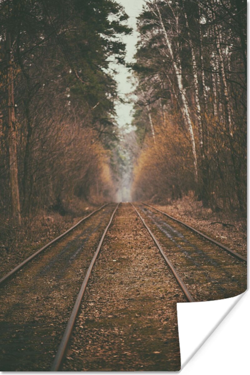 Poster Treinspoor - Pad - Bos - Boom - 40x60 cm