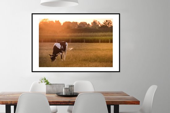 Cadre photo avec affiche - Vache - Soleil - Animaux - 120x80 cm - Cadre pour affiche
