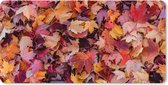 Muismat XXL - Bureau onderlegger - Bureau mat - Herfstbladeren - 120x60 cm - XXL muismat