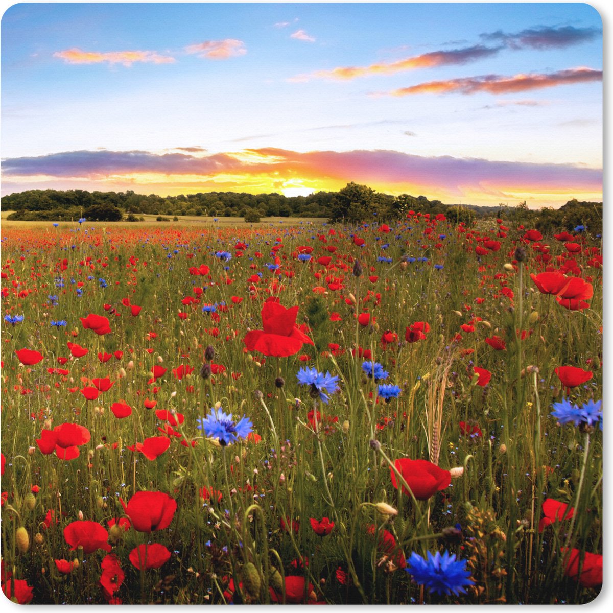 Muismat XXL 40x40 cm - Bureau onderlegger - Bureau mat Bloemen - Zonsondergang - Kleuren - Bureaumat - Gaming mousepad xl - Bureaulegger groot - Computer deskmat