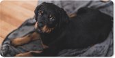 Muismat XXL - Bureau onderlegger - Bureau mat - Een Rottweiler puppy op een zwart kleed - 100x50 cm - XXL muismat