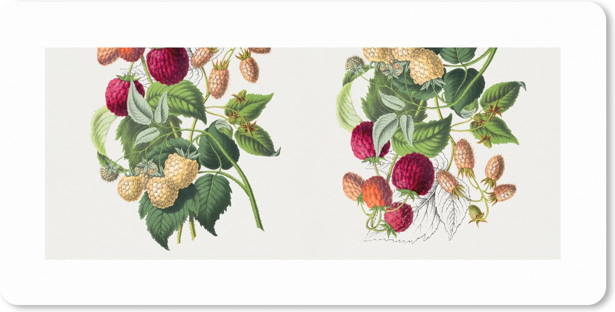 Muismat XXL 80x40 cm - Bureau onderlegger - Bureau mat Eten - Frambroos - Fruit - Bureaumat - Gaming mousepad xl - Bureaulegger groot - Computer deskmat