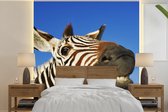 Behang - Fotobehang Zebra - Grappig - Kinderen - Kids - Jongens - Meisjes - Breedte 240 cm x hoogte 240 cm