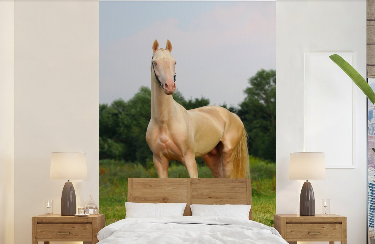 Behang - Fotobehang Paarden - Gras - Kleuren - Breedte 190 cm x hoogte 300 cm