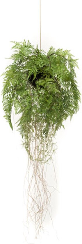 Emerald Kunstvaren hangend met wortels 35 cm