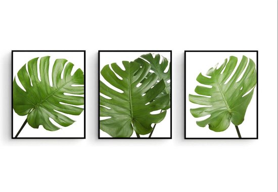 Poster Set 3 Botanisch groene bladeren / Planten / Bladeren / 80x60cm