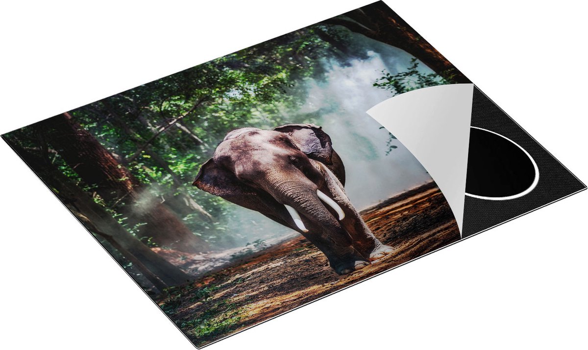 Chefcare Inductie Beschermer Olifant in het Bos - 65x55 cm - Afdekplaat Inductie - Kookplaat Beschermer - Inductie Mat