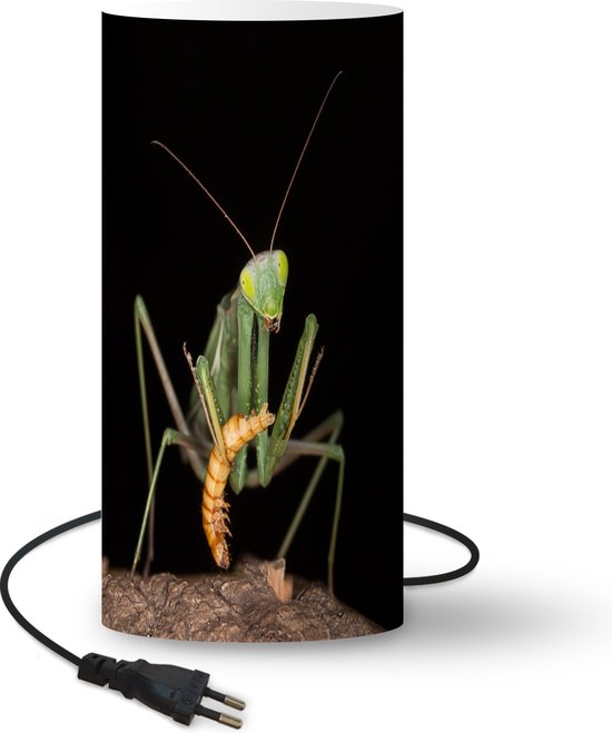 Surrey bloemblad verachten Lamp Insecten Op Zwarte Achtergrond - Etend bidsprinkhaan lamp - 33 cm hoog  - Ø16 cm -... | bol.com
