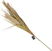 Branche artificielle d' Agropyre de blé blanc cassé