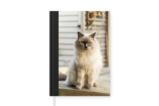 Notitieboek - Schrijfboek - Ragdoll kat in de openlucht - Notitieboekje klein - A5 formaat - Schrijfblok
