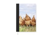 Cahier - Cahier d'écriture - Poules au pré - Cahier - Format A5 - Bloc-notes