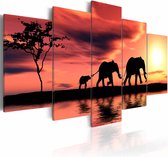 Schilderij - Olifanten in Afrika, oranje/geel, 5luik, wanddecoratie, print op echt Italiaans canvas, landschap, dieren