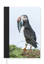 Notitieboek - Schrijfboek - Schotse papegaaiduiker - Notitieboekje klein - A5 formaat - Schrijfblok