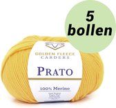 5 pelotes jaune - !00% laine mérinos - Fils Golden Fleece Prato orangey