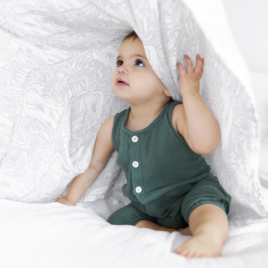 Aden + Anais classic swaddle 3 pack Culture club bol