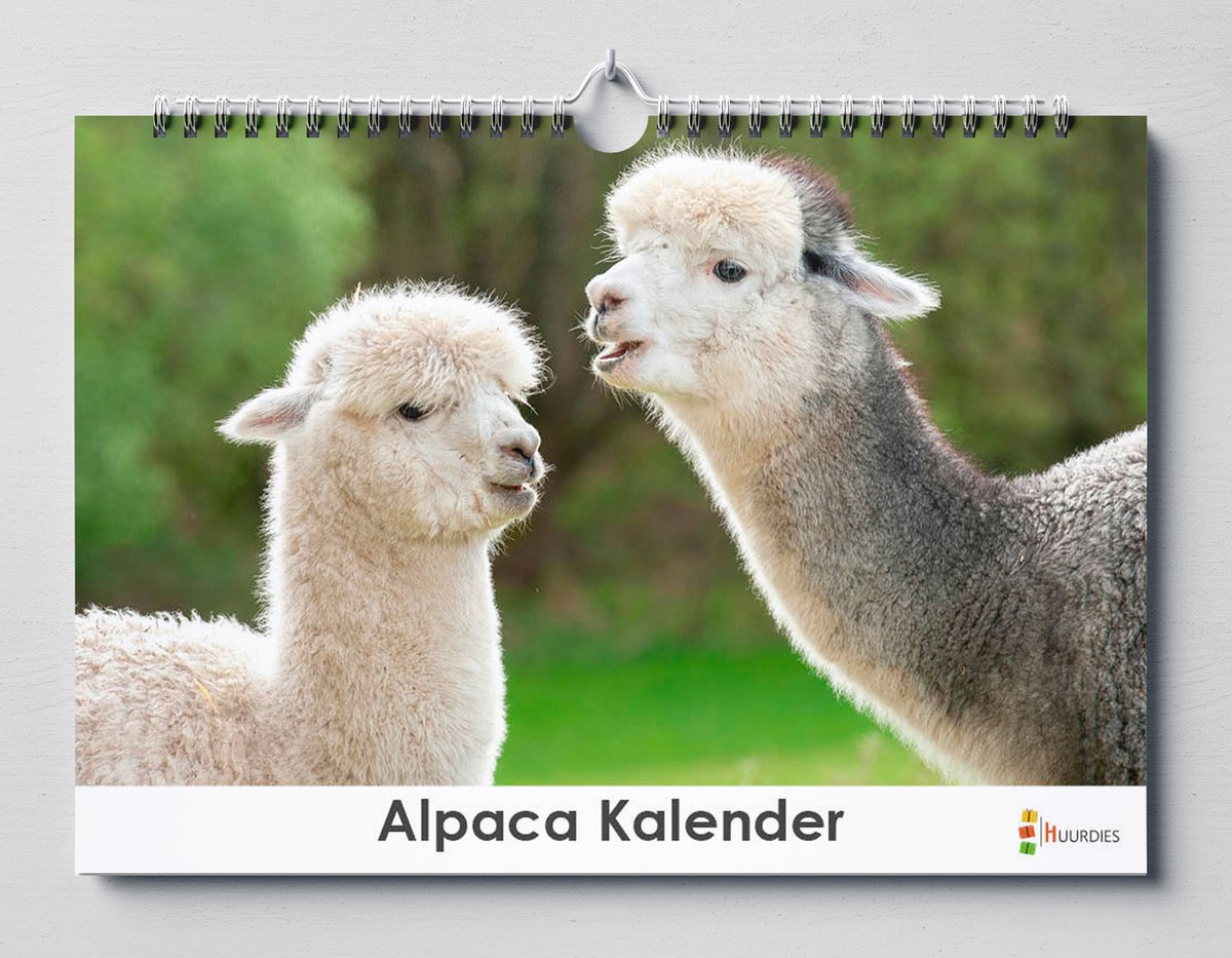 Alpaca kalender 42 x 29.7cm | Alpaca verjaardagskalender A3 | Alpaca wandkalender| Kalender 42 x 29.7cm | Verjaardagskalender Volwassenen