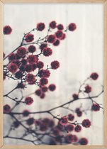 Poster Met Eiken Lijst - Gedroogde bloemen Poster