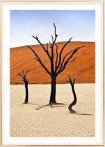 Poster Met Metaal Gouden Lijst - Deadvlei Bomen Poster