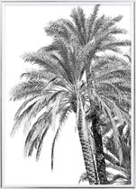 Poster Met Metaal Zilveren Lijst - Oman de Palm Poster