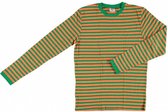 verkleedshirt Stripes heren katoen oranje/groen maat XXL