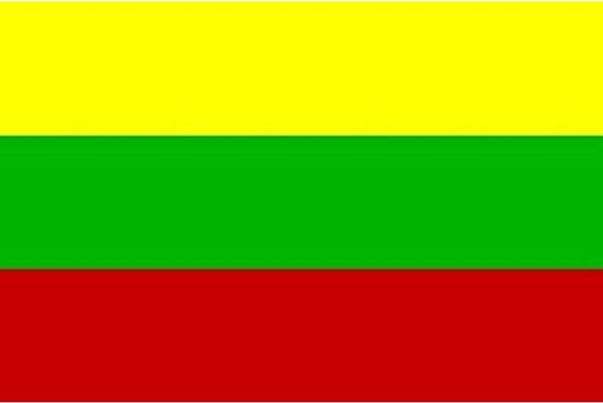 vlag Litouwen 90 x 150 cm PE geel/groen/rood | bol.com