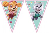 vlaggenlijn Paw Patrol junior 230 cm papier groen/roze