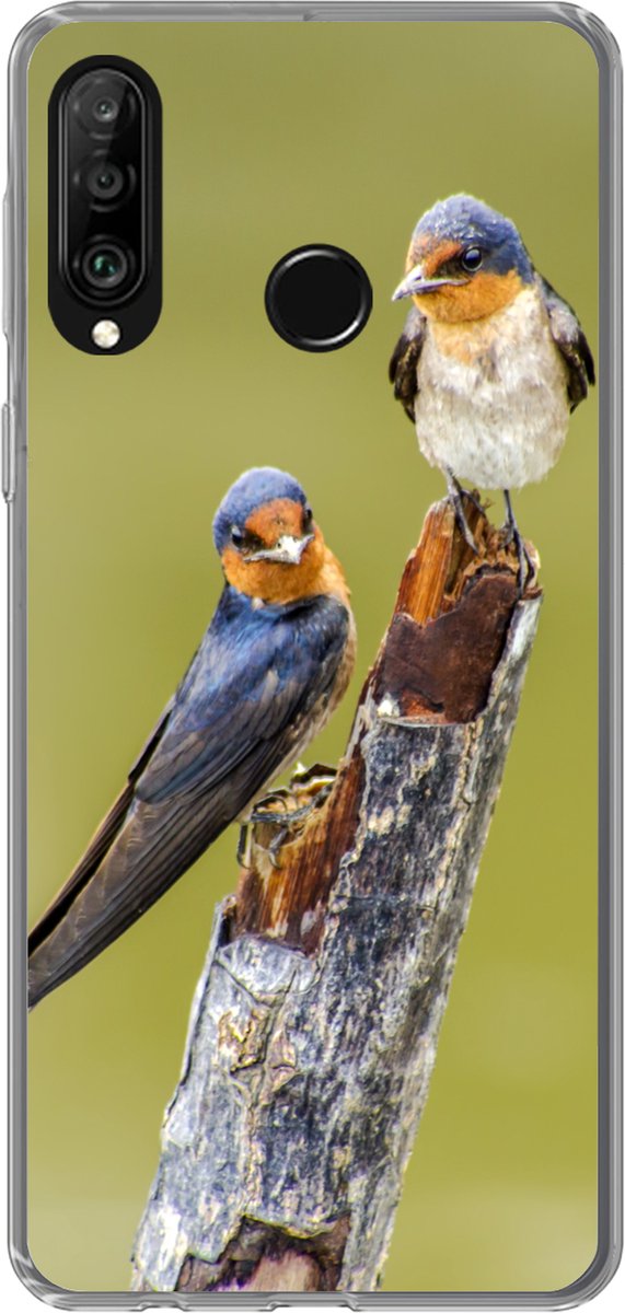 Telefoonhoesje Geschikt voor Huawei P30 Lite hoesje - Vogels - Tak - Portret - Siliconen Telefoonhoesje Telefoonhoesje