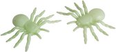 spinnen glow-in-the-dark junior groen 2 stuks
