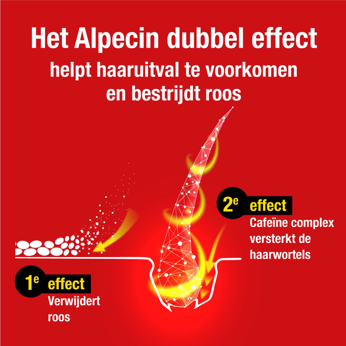 waarheid kleding Luik Alpecin Double Effect 200ml | Anti roos en natuurlijke haargroei shampoo |  Voorkomt en... | bol.com