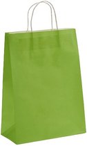cadeautas 43 x 25,5 cm papier groen 2 stuks
