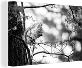 Canvas Schilderij Eekhoorn zit te eten op een dunne tak - zwart wit - 30x20 cm - Wanddecoratie