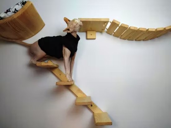 Cat Steps for Wall - De 15 beste producten vergeleken