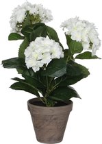 Plante artificielle d'hortensia de Mica Decorations - H40 x Ø35 cm - Pot en terre cuite - Wit