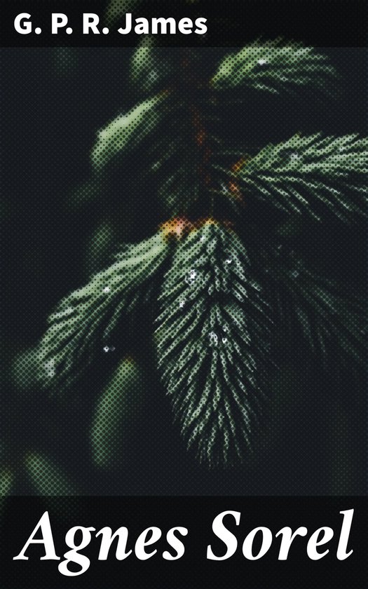 Agnes Sorel (ebook), G P R James 4064066153342 Boeken
