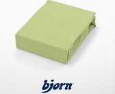 Bjorn Katto - Hoeslaken - Jersey - Tweepersoons - 140x200/160x220 - Appel