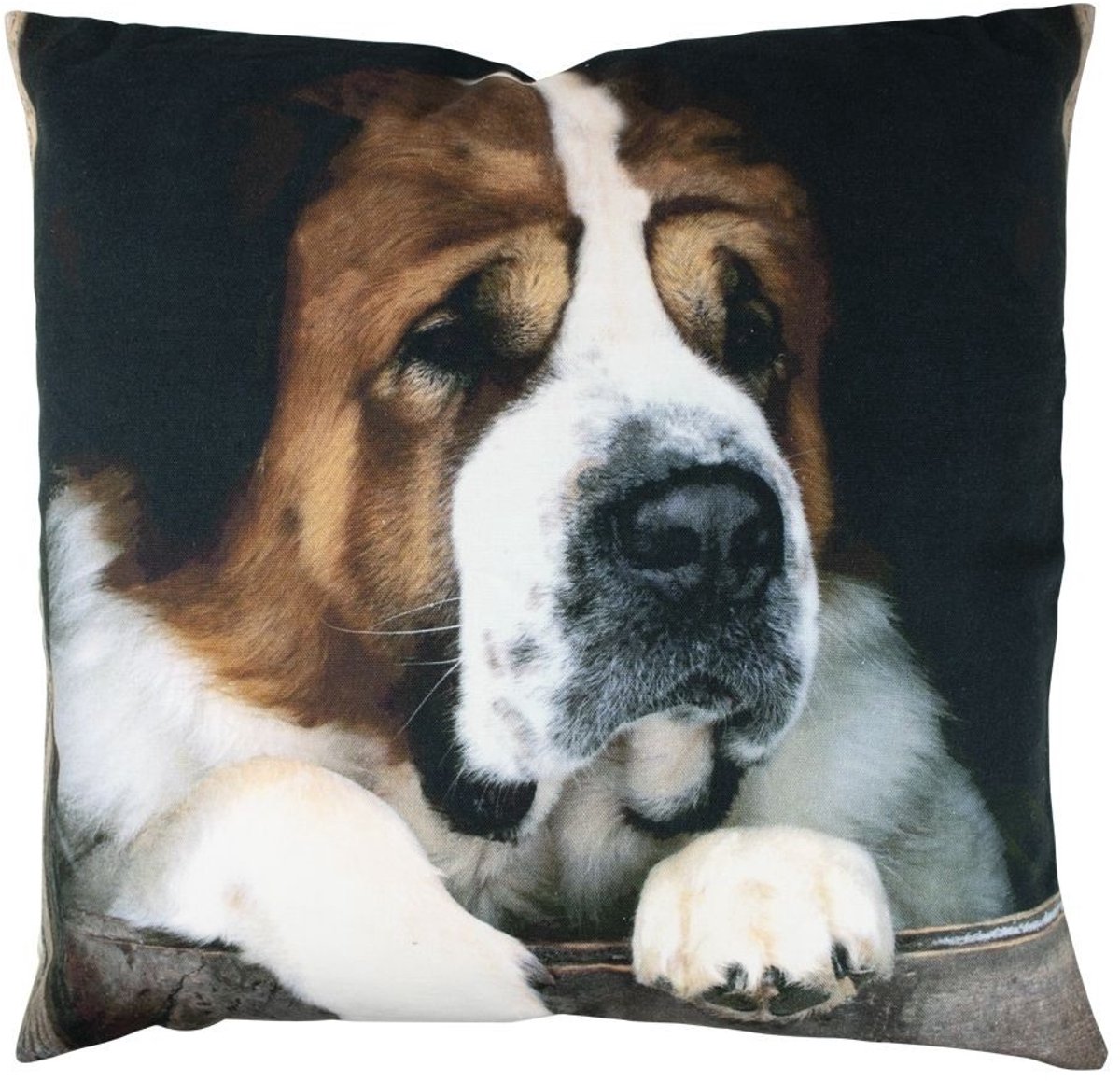 Canvas kussen st. bernard 50x50 cm